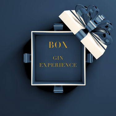 Box Gin Experience