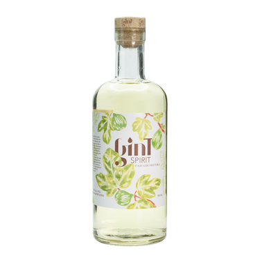 Gin Spirit - GinT